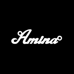 Серебряное колье с именем Amina