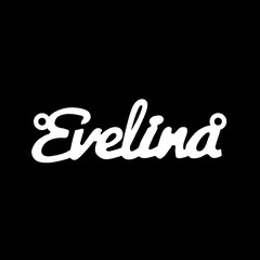 Серебряное колье с именем Evelina