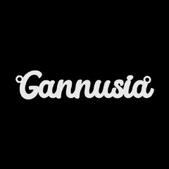 Серебряное колье с именем Gannusia