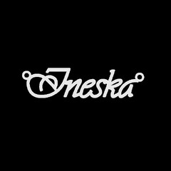 Серебряное колье с именем Ineska