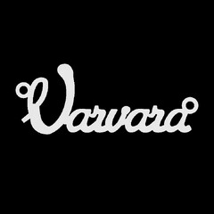 Серебряное колье с именем Varvara