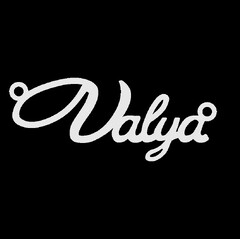 Серебряное колье с именем Vladyslava