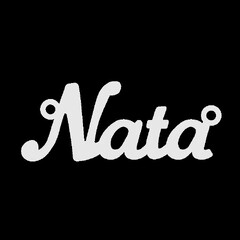 Серебряное колье с именем Nata