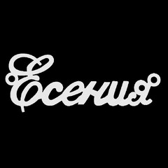 Серебряное колье с именем Есения