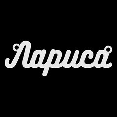 Серебряное колье с именем Лариса