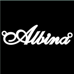 Серебряное колье с именем Albina
